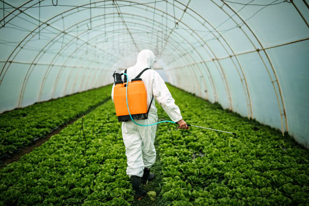 Best Pest Inspection Near Me  in Metuchen, NJ