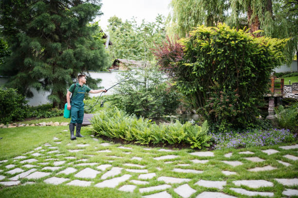 Best Residential Pest Control  in Metuchen, NJ