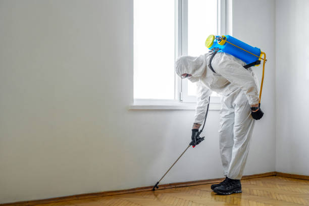 Best Insect Control  in Metuchen, NJ