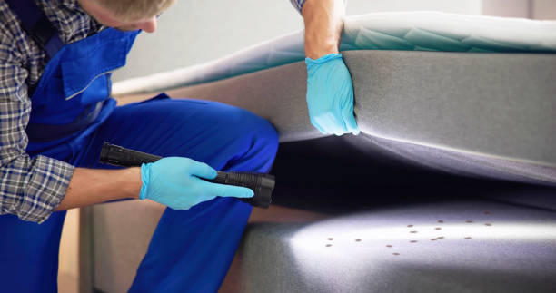 Trusted Metuchen, NJ Pest Control Experts