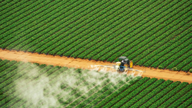 Best Mosquito Control Services  in Metuchen, NJ