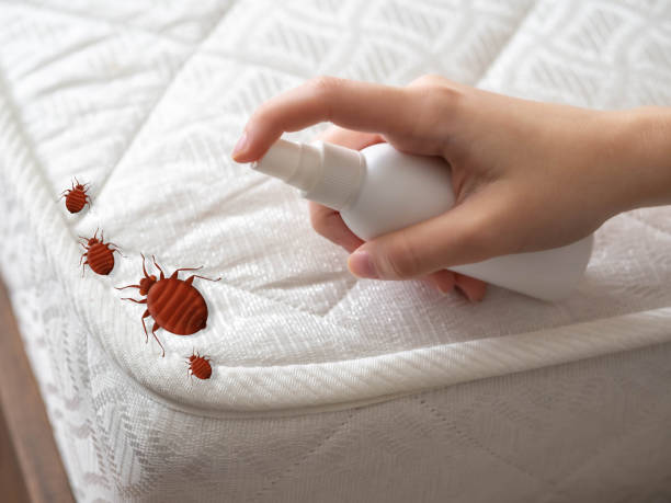 Best Local Pest Control Services  in Metuchen, NJ