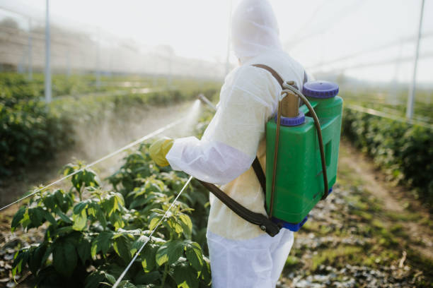 Best Pest Removal Services  in Metuchen, NJ